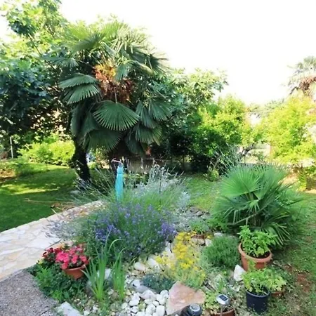 アパート Gaestezimmer Fuer 2 Personen Ca 18 M In Novigrad, Adriakueste Kroatien Westkueste Von Istrien Karpinjan